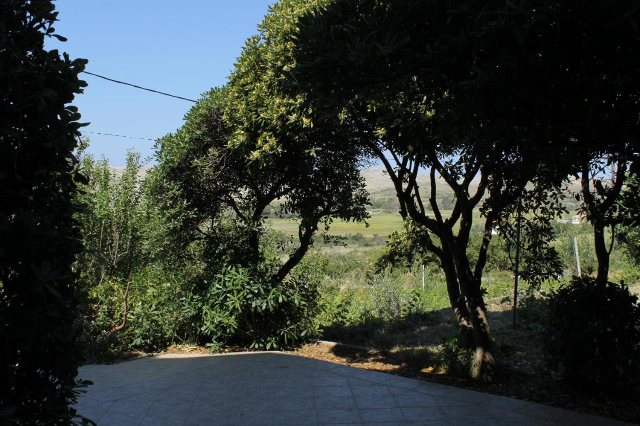Family Friendly Seaside Apartments Vlasici, Pag - 4319 Extérieur photo