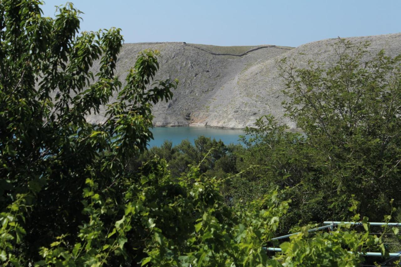 Family Friendly Seaside Apartments Vlasici, Pag - 4319 Extérieur photo